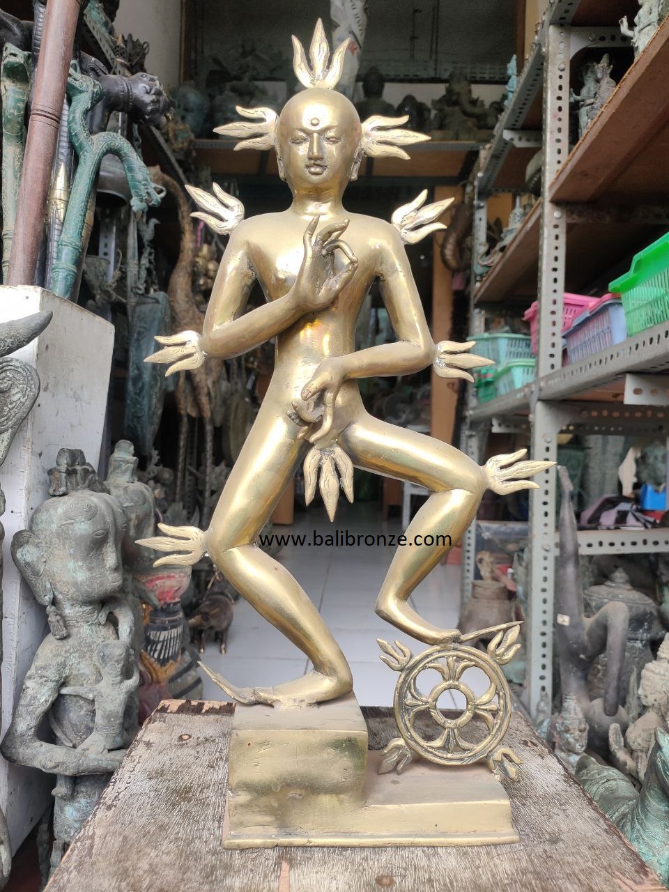 1066 Acintya 50 cm KDH